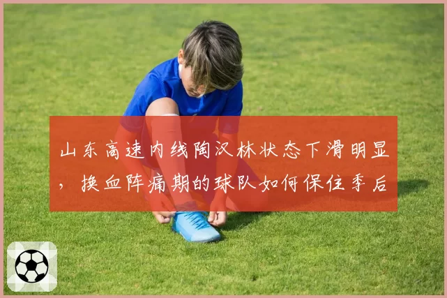 山东高速内线陶汉林状态下滑明显，换血阵痛期的球队如何保住季后赛席位？