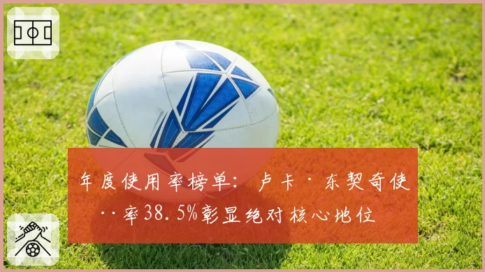 年度使用率榜单：卢卡·东契奇使用率38.5%彰显绝对核心地位