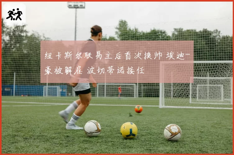 纽卡斯尔联易主后首次换帅 埃迪-豪被解雇 波切蒂诺接任